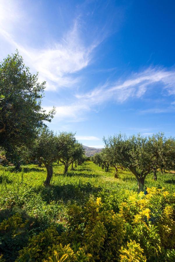 Ulivo Blu Holiday Homes Castellammare del Golfo Dış mekan fotoğraf